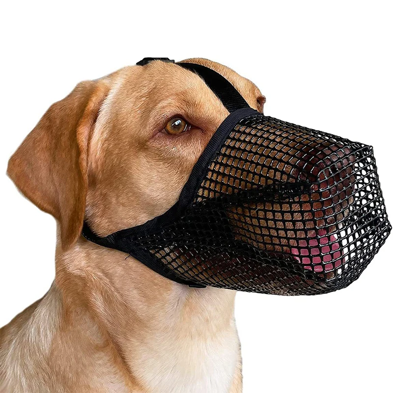 Can You Use A Muzzle To Keep A Dog From Barking