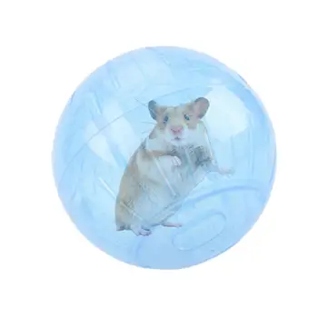 Acrylic Clear Hamster Exercise Ball 1