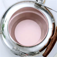 Bouilloire/Théière Électrique en Acier Inoxydable 1L/1.5L/2L/2.5L pour Cuisinière Électrique ou à Gaz, Cafetière Métallique pour la Maison et le Camping 3