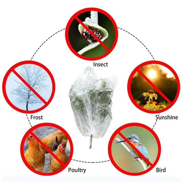 Kerti Zöldség Rovarok Védelme Nettó Növényi Gyümölcs Táj Fák Gondozás Üvegházhatású Kártevőirtó Hálózat - Image 6