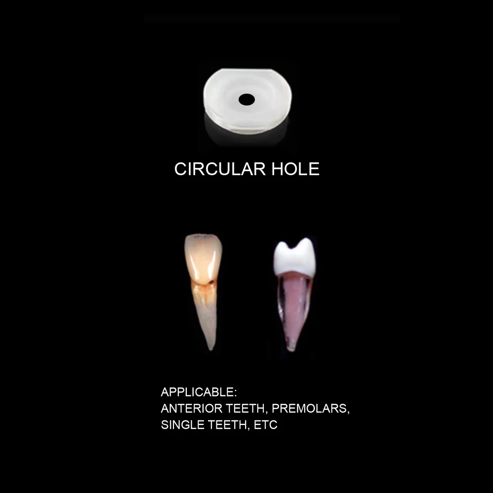 Root Canal Dental Training Model 5