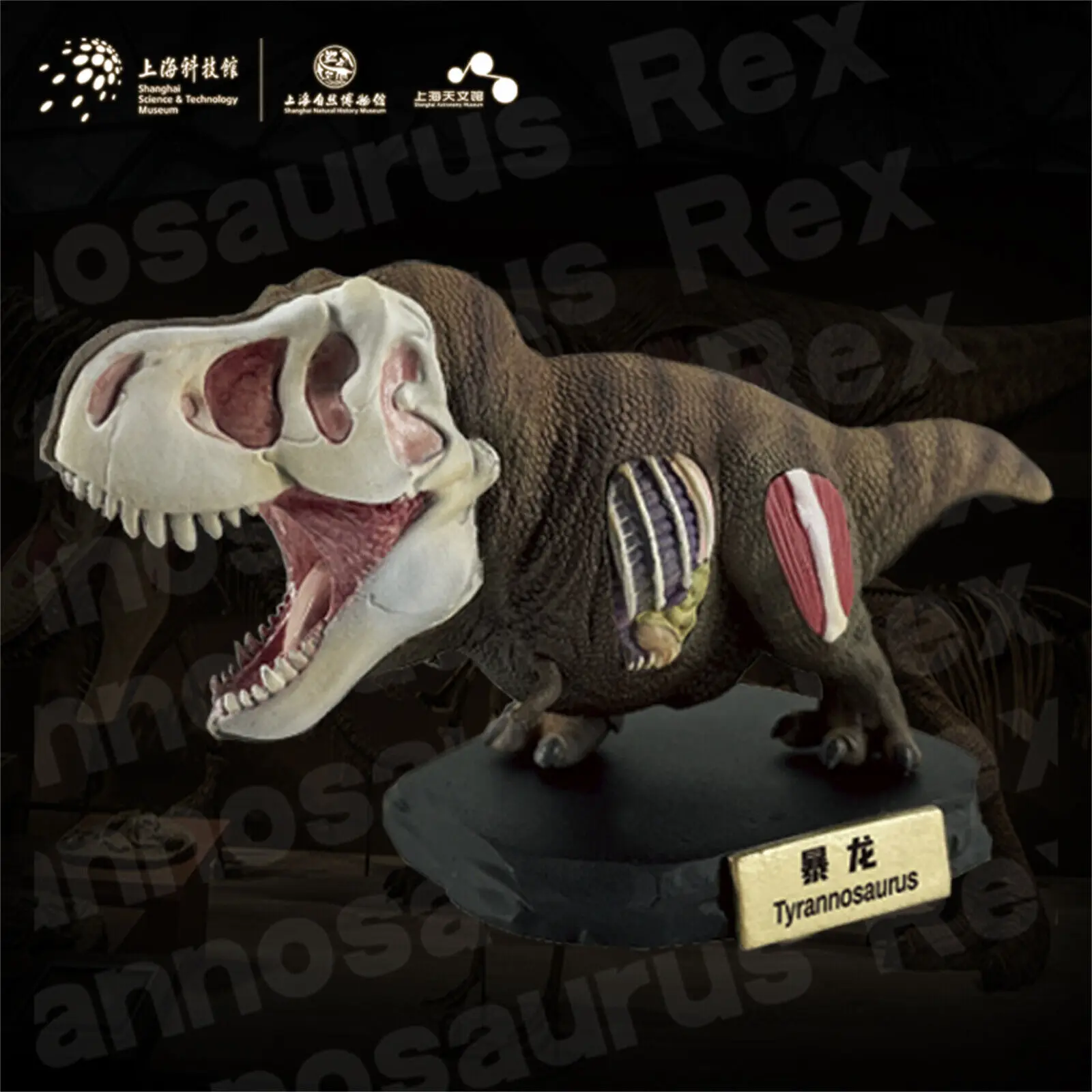 

Animal Planet Tyrannosaurus Rex Model Dinosaur Animal Museum Limited Figure T-Rex Collector Decoration Realistic Toy Gift