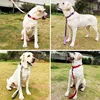 Dog Leash Short Dogs Leash Durable Nylon Leashes for Large Dog Walking Rope Comfortable Handle Dogs Leashes Seat Belts Pet Chain 2