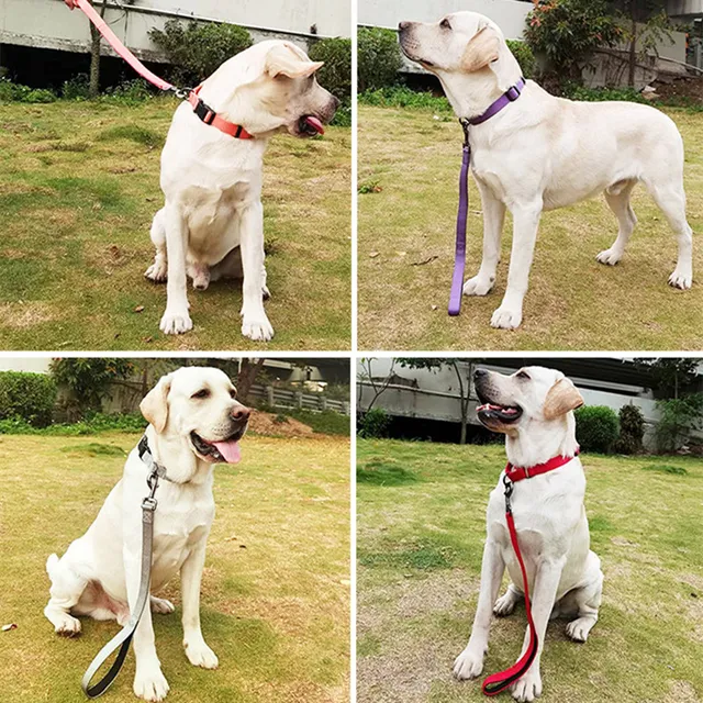 Dog Leash Short Dogs Leash Durable Nylon Leashes for Large Dog Walking Rope Comfortable Handle Dogs Leashes Seat Belts Pet Chain 2