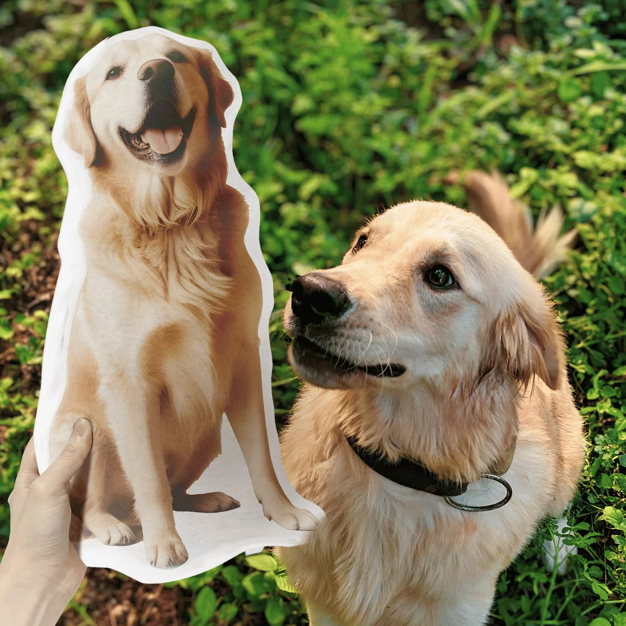 Pets Cushion Personalized Filling Pets Photo Cushion DIY Pillow for Putting Picture of Cats and Dogs Home Decor