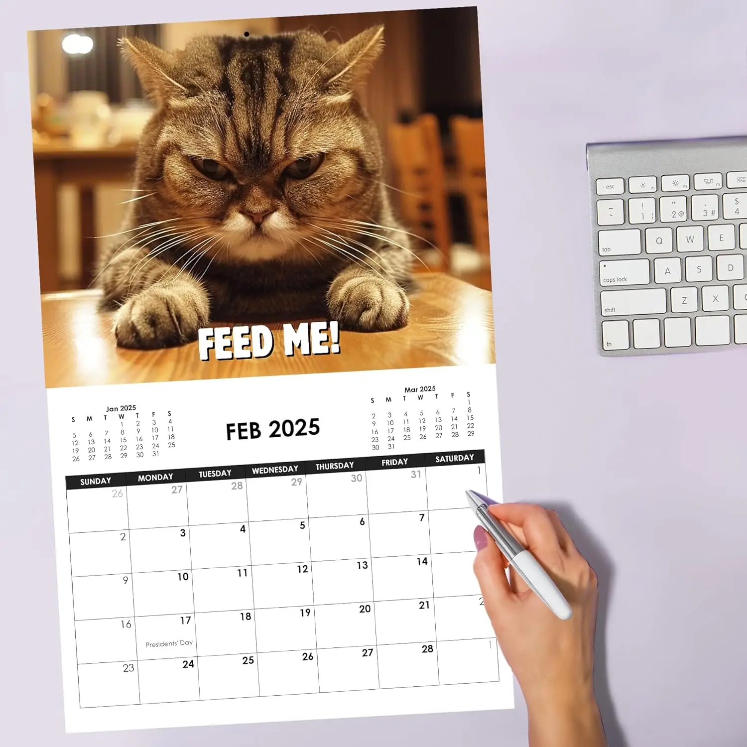 Angry Cat Theme Calendar New Year Wall Calendar Fun Cat Theme Gifts for Lovers New Year Christmas Gifts wall calendar paper wall calendar
