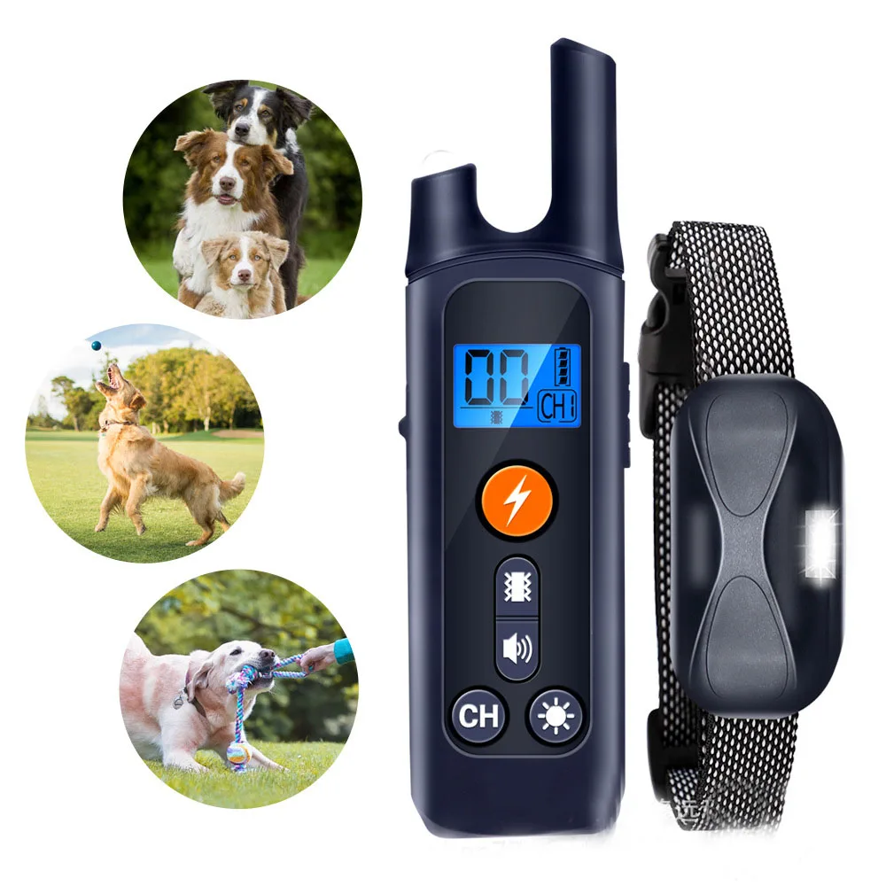 When Can You Start Using A Shock Collar On A Dog