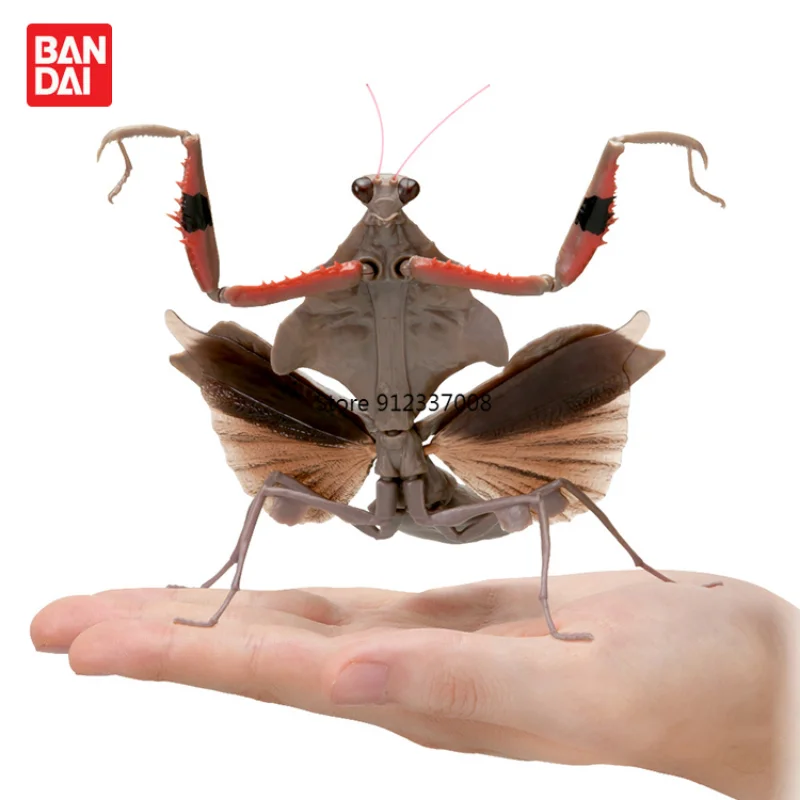 Bandai-Gashapon-Figurine-Deroplatys-Brancsikia-Parablepharis-Biology ...