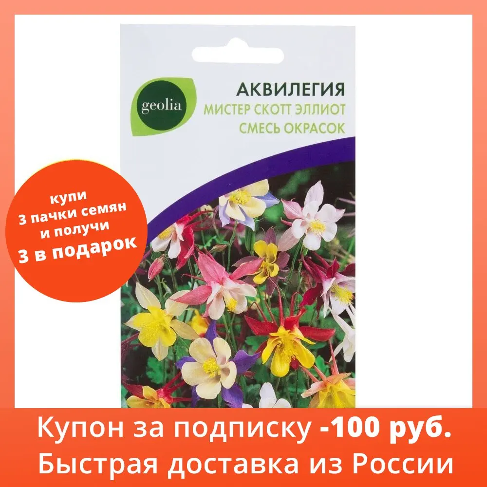 Аквилегия Geolia Мистер Скотт Эллиот| Бесплатная доставка из РФ | 1 упаковка Дом и сад