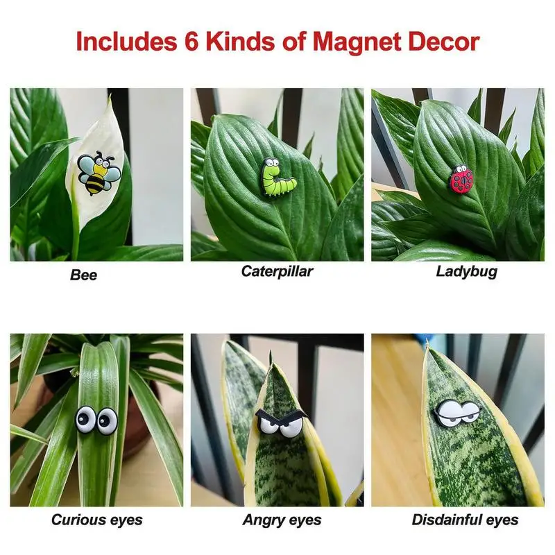 Magnetic Plant Eyes 6PCS Cute Plant Safe Magnets Decor Indoor Accessories Mini Magnets For Cabinet Refrigerator Whiteboard