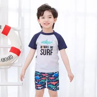 2024 Summer Children Beach Suits T-shirts+Shorts Unisex Boys Girls Two Pieces Swimwear Kids Cute Surfsuit Cartoon Print Swimsuit 6