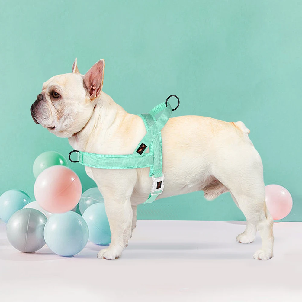 Soft No Pull Dog Harness 2 Soft No Pull Dog Harness 2