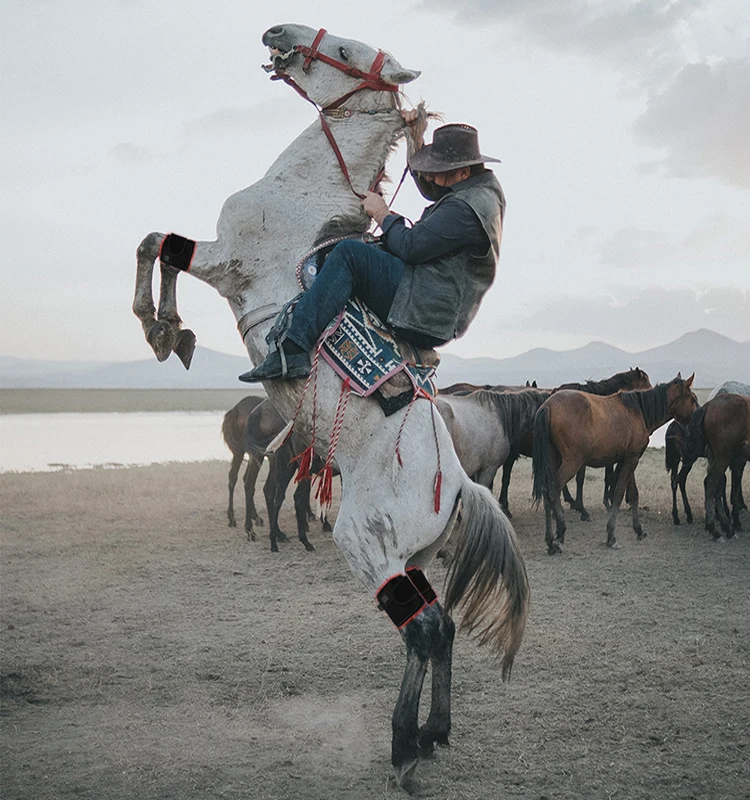 Sda29fca4bc9b406ab076351f70dfbdfa3.jpg?width=750&height=800&hash=1550