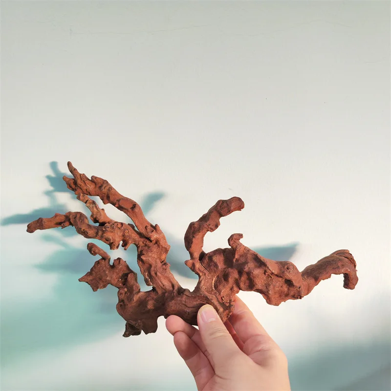 Natural Large Driftwood 5-30cm Fish Tank drift wood Driftwood Natural Tree Coral wood Climber Reptile Lizard Cork aquarium fish tank ornaments fish tank decorations aquarium ornaments