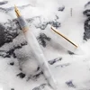 New RIIMOO LY530 Acrylic Fountain Pen Calligraphy Practice Exquisite Back To School Gift for Students Iridium EF F Nib Supplies 3