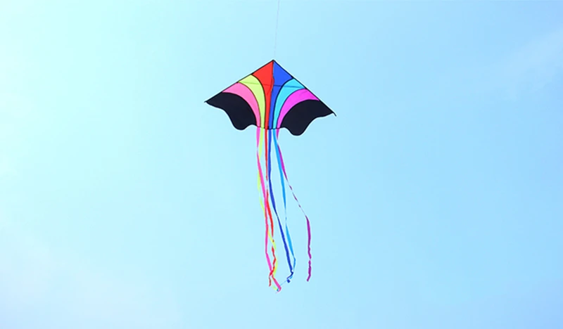High-Quality Rainbow Eagle Kite for Kids - Durable Ripstop Nylon Fabric and Strong Line rainbow kite