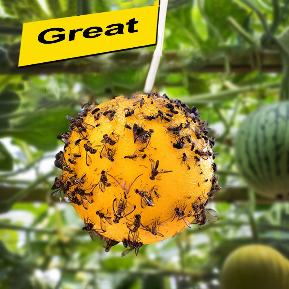 Hanging Fly Trap Glue Ball Insect Fruit Fly Bug Killer for Bee Wasp Sticky Catcher Orchard Garden Pest Control Supplies