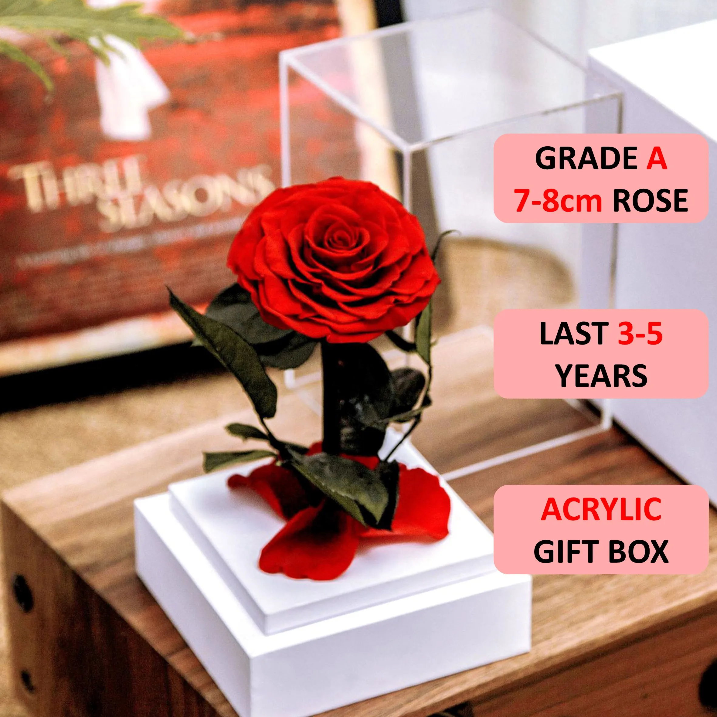 

Natural Flower Preserved Rose Beauty and The Beast Eternal Roses In Dome Wedding Forever Flowers Valentines Christmas Gifts