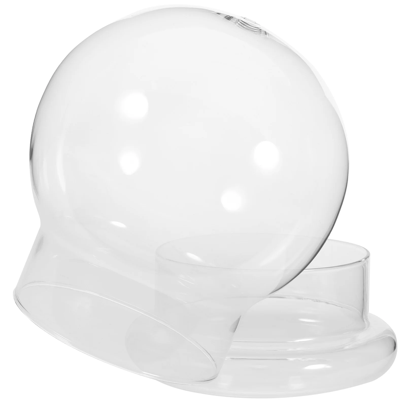 

Landscape Ecological Bottle Glass Plants Terrarium Bell Jar Snowglobe Terrariums for Decor with Dome