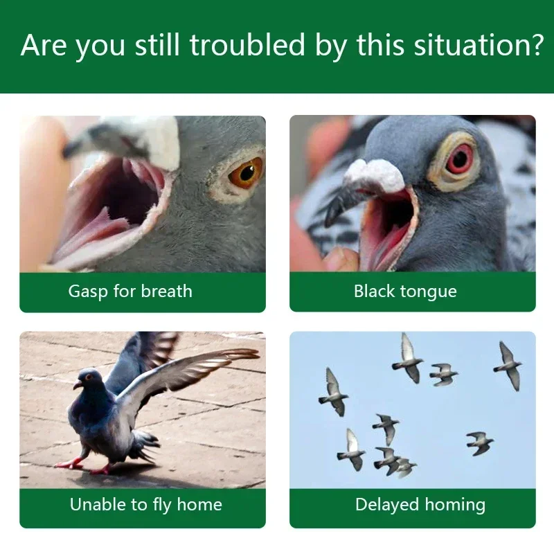 Racing pigeon homing pigeon nutritional supplement 250ml Pigeons cannot fly high for breath and return to the nest slowly