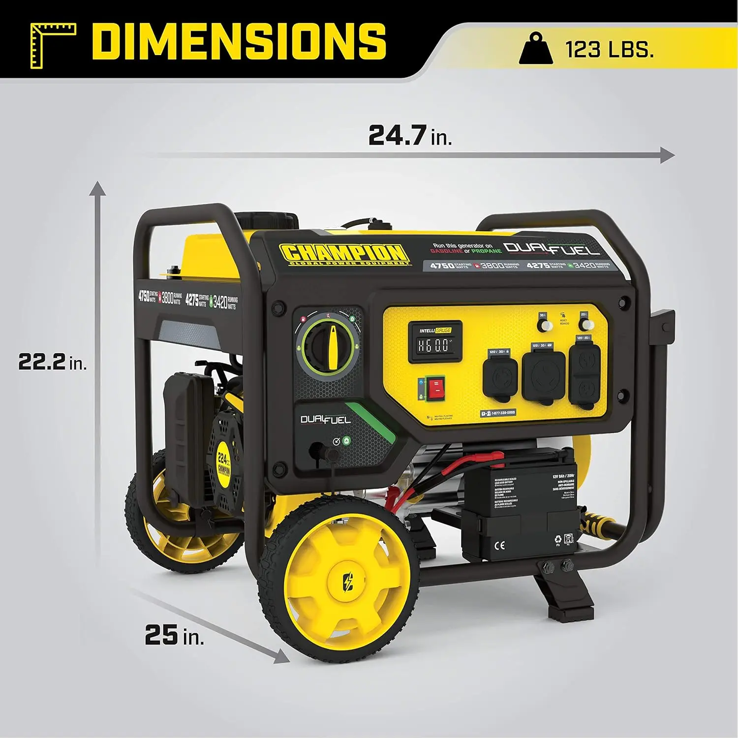 4750 Watt Dual Fuel Portable Generator with Electric Start Wheel Kit Keep track of voltage hertz and run time hours