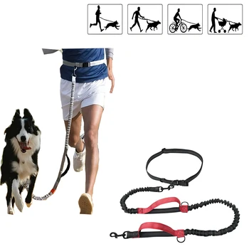 Reflective Retractable Dog Leash 1