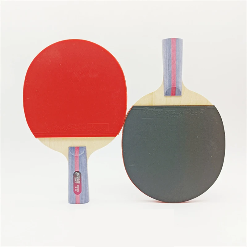 DHS finished table tennis racket ping pong H1002 H1006 H2002 H2006 for table tennis ping pong game