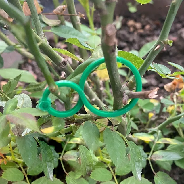 Kerti Növény Tartó Rácsos Klipek Szőlő Zöldséghez Új Paradicsom Termesztési, Függőleges Növényi Állvány Szerszám - Image 5