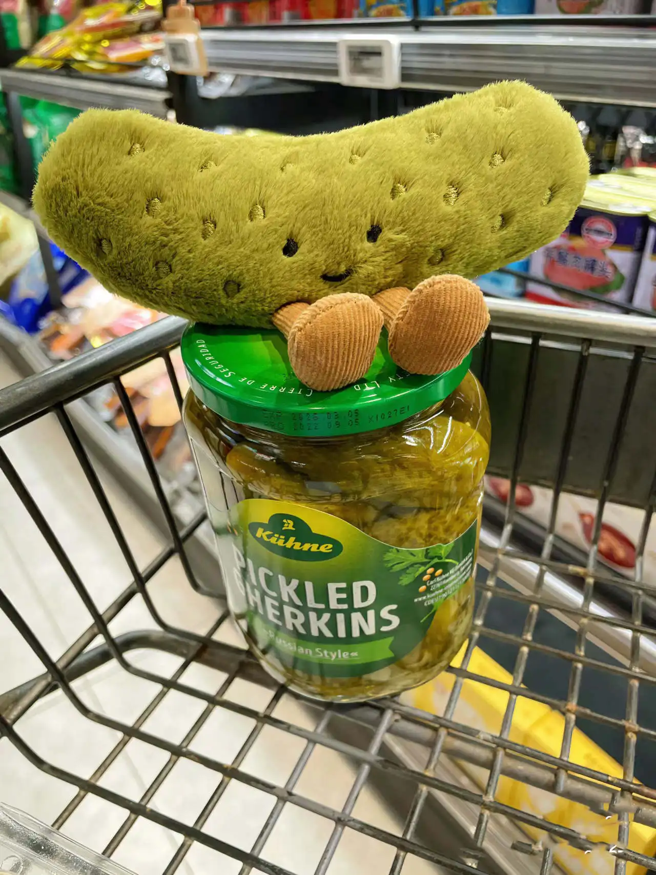 hmqViviiyNSAyin9WueXt+x6rewEESaXkyAk