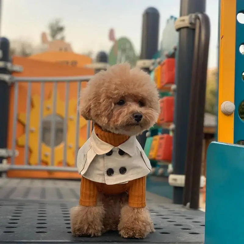 Dog Cloak Windbreaker Corgis French Bulldog Pet Dog Bib Fashion British Style Pet Clothing Cape Pets Costume Trench #W0