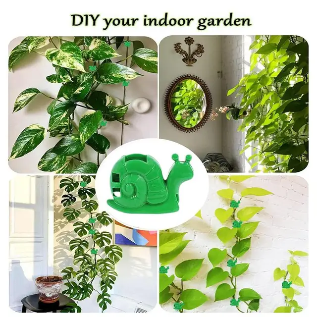 30 Dcs Ragasztó Növényi Mászó Fali Rögzítő Klipek Zöld Csomagoló Növények Támogató Paradicsomvirágok És Szőlők Egyenes Termesztési Szerszámklipek - Image 3
