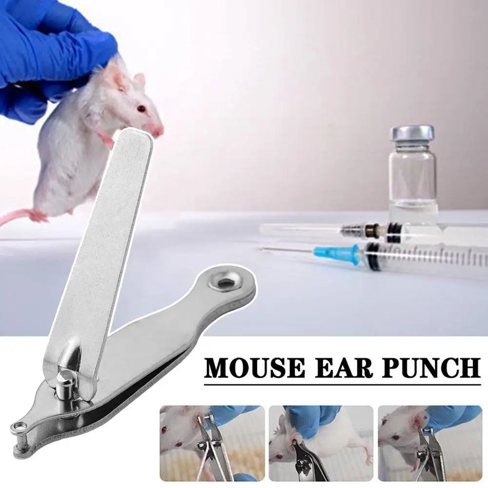 1/2/3PCS Professional Rodent Pet Mouse Rat Hole Punch Lab Experimental Ear Punch 2mm Stainless Steel Hamster Marking Supplies
