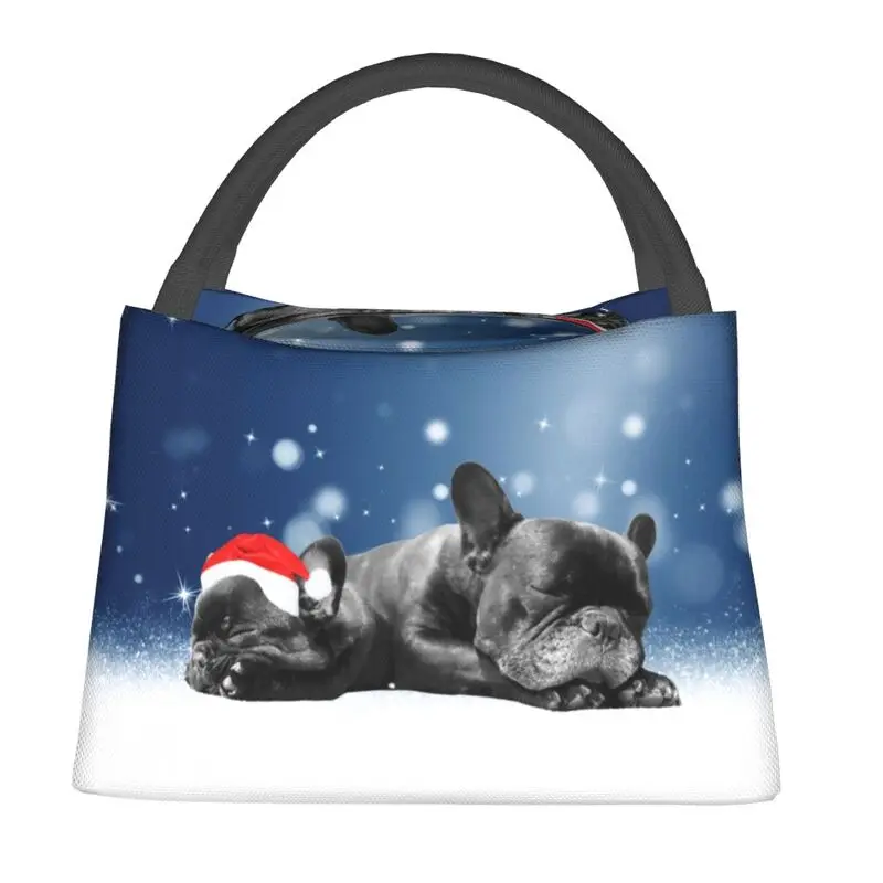 

Cute Pet French Bulldog Insulated Lunch Bag for Women Resuable Frenchie Dog Lover Thermal Cooler Bento Box Beach Camping Travel