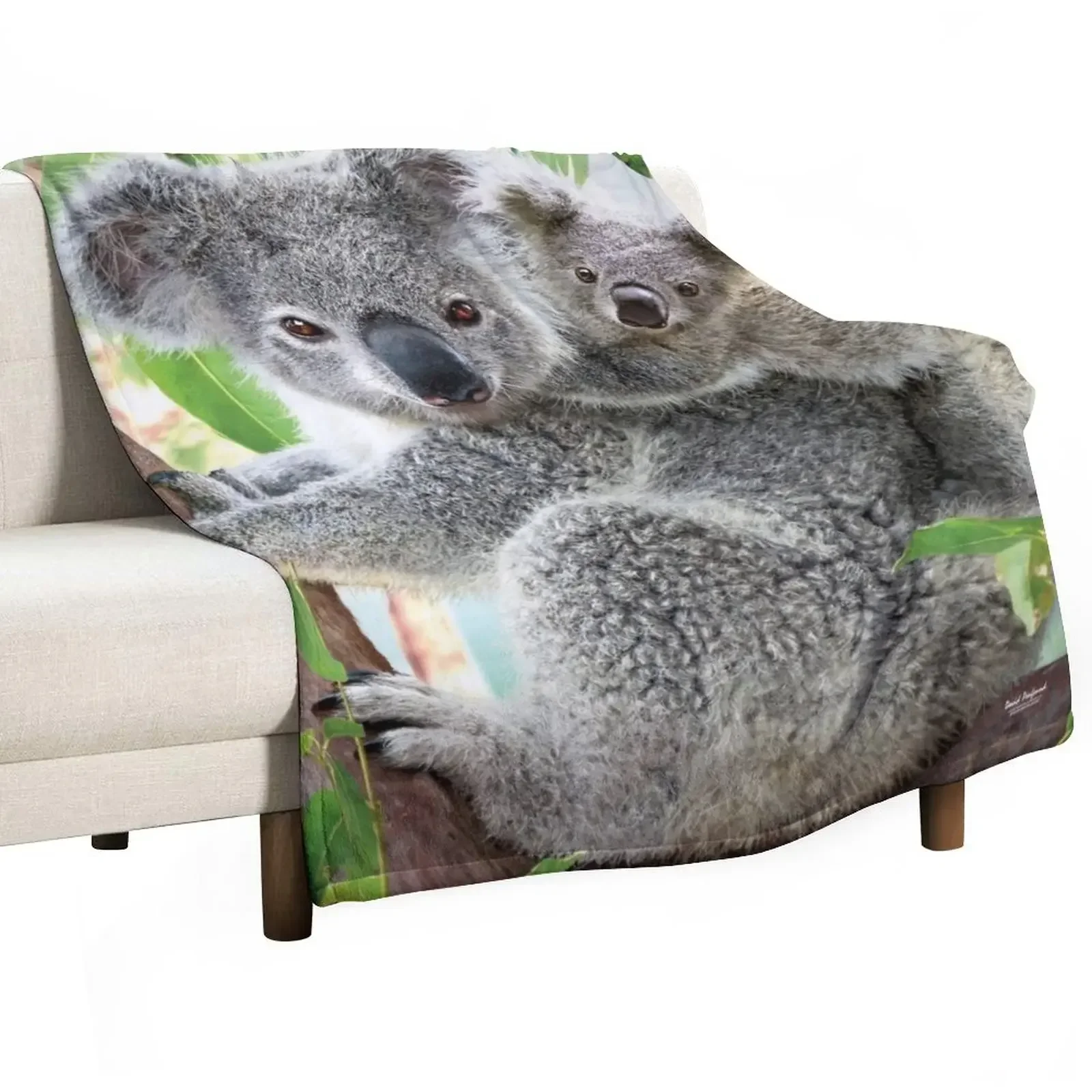

Koala Cuddles Throw Blanket Polar fluffy Sofa Throw Blankets For Baby Blankets