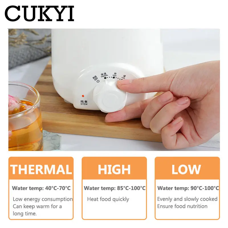 0.5L Portable Ceramic Wellness Mug Thermal Electric Kettle Slow Stew Pot Health Cup Keep Warm Bird's Nest Dessert Soup Simmer EU 3