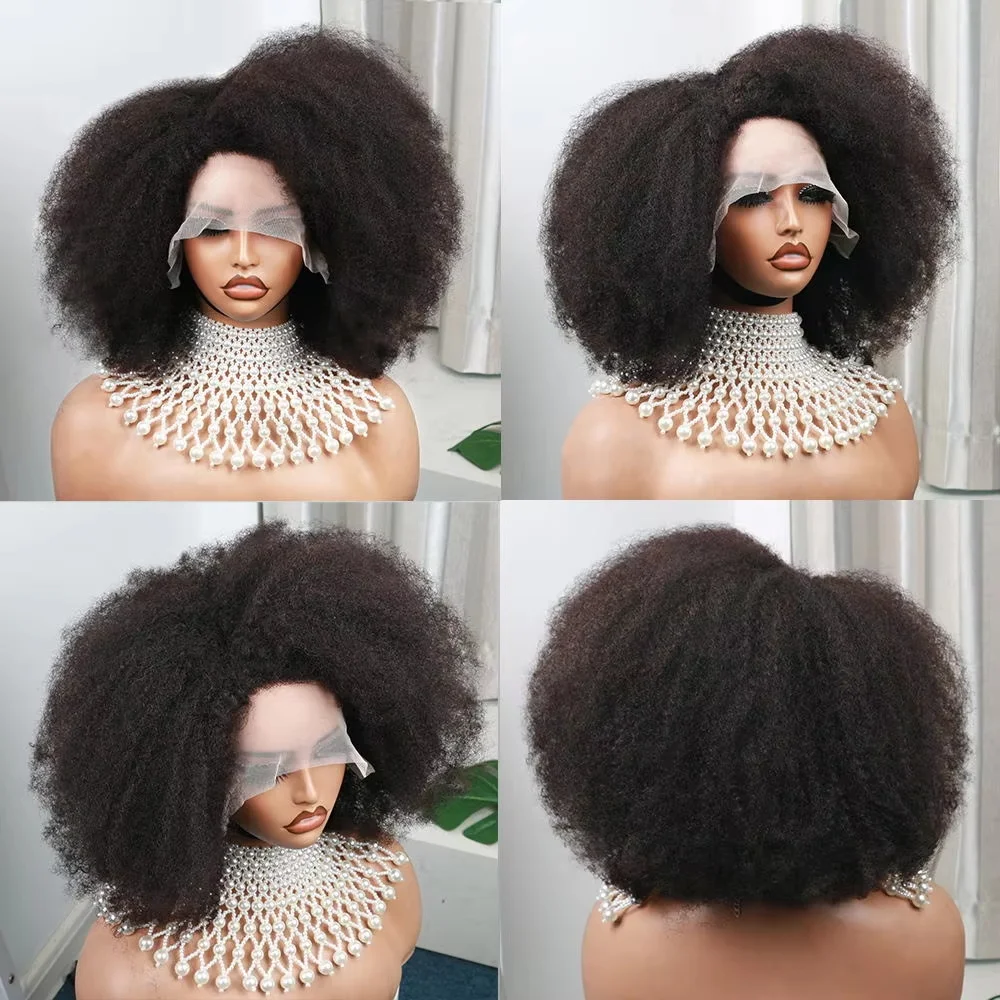 Afro Kinky Curly 13x4x2 T Part Lace Wig