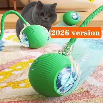 Smart Rolling Cat Ball 1