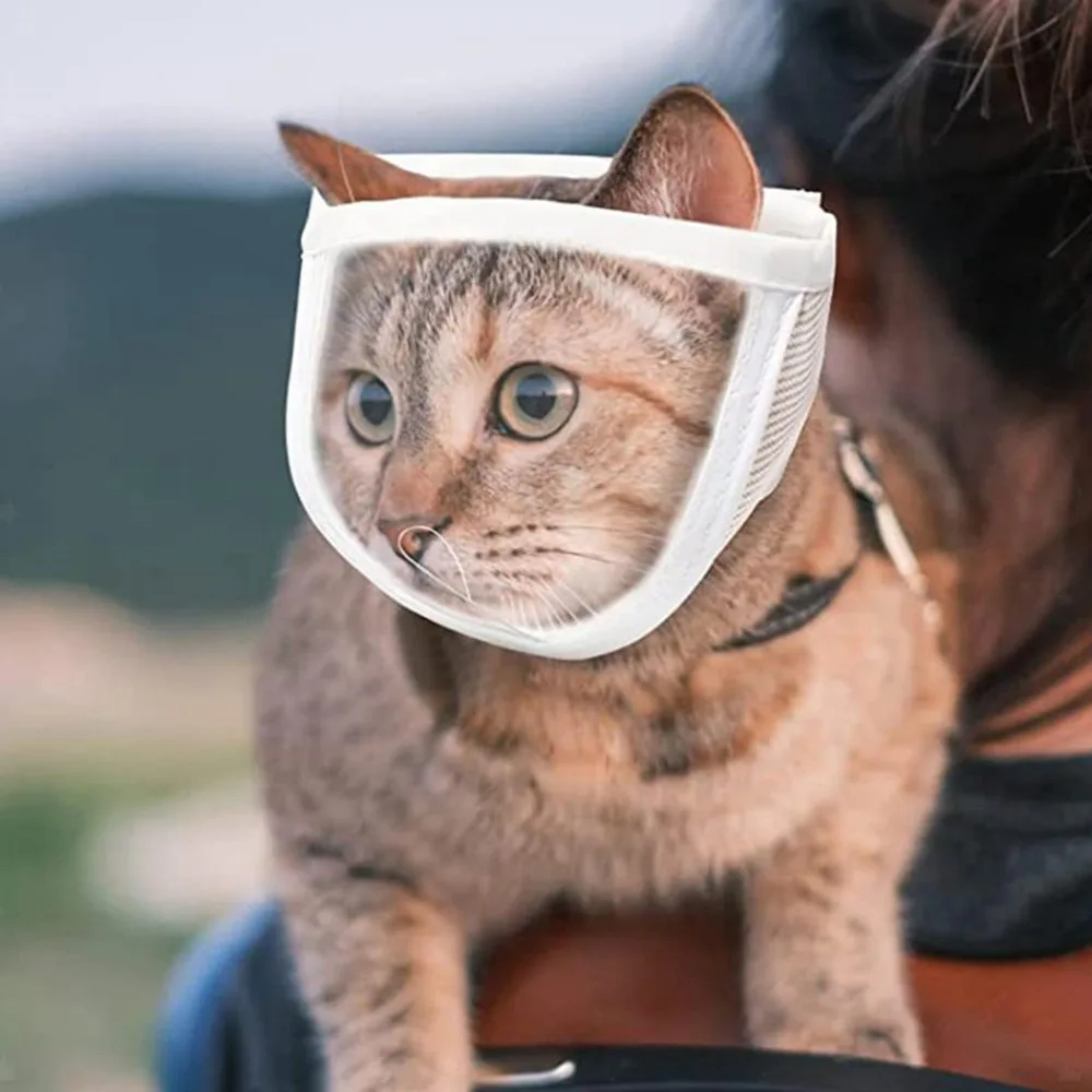 Pet Muzzles Adjustable Anti Bite Transparent Mask Chewing Safety Mouth Guard Bathing Grooming Tools Kitten Puppy Muzzles Mask