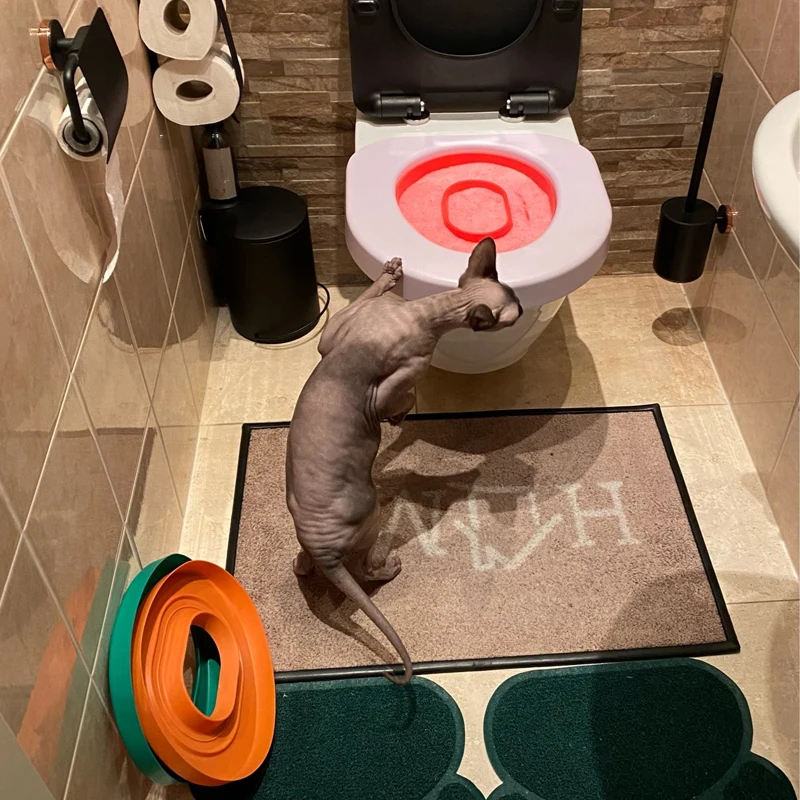 3 Step Cat Toilet Training System Kit Colourful Plastic Training Queakly Easy to Use Human Toilet 8 weeks or less Pet Supplies