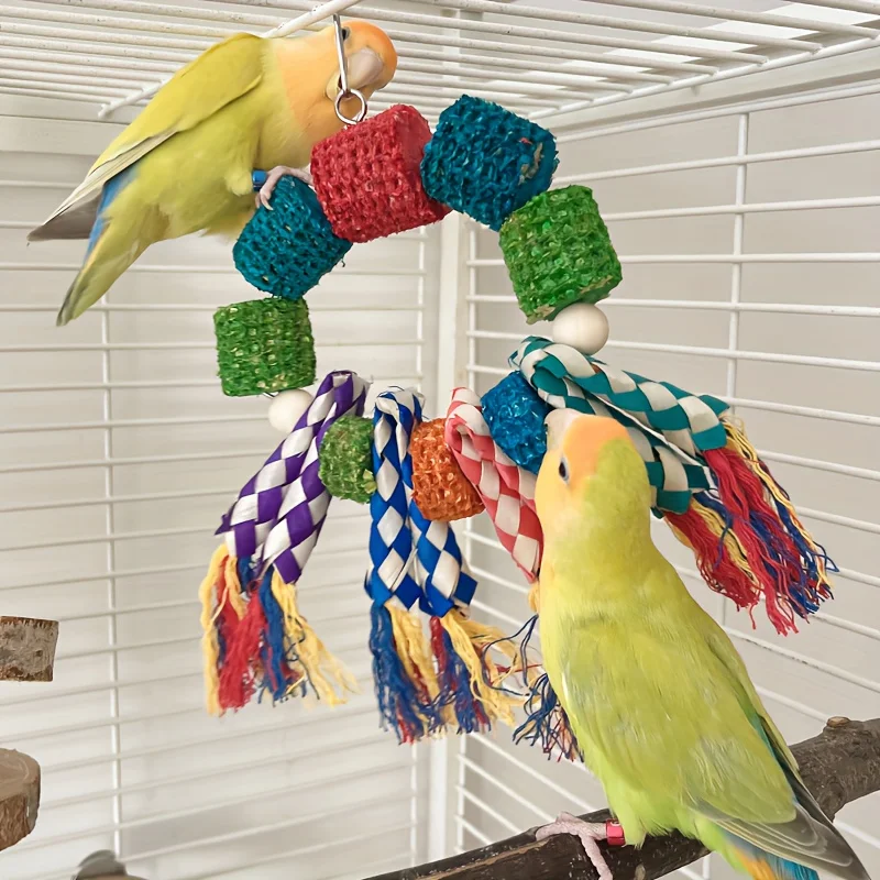 Colorful Corn Cob Chew Toy for Parrots, Hanging Climbing Rings with Woven Rope, Fun Bird Cage Accessory