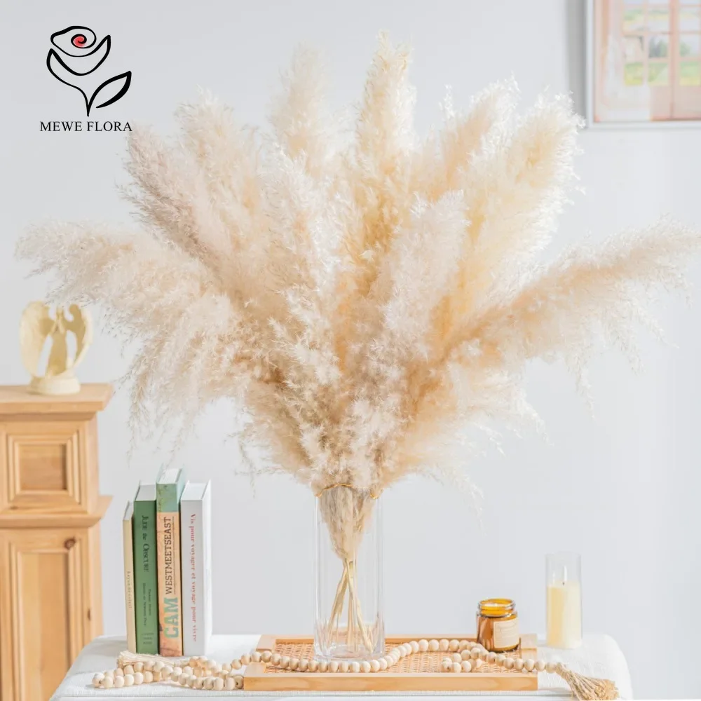 

Fluffy Water Pampas Grass Boho Home Decor Natural Phragmites Dried Flowers Bouquet for Wedding Floral Arrangements Decorations