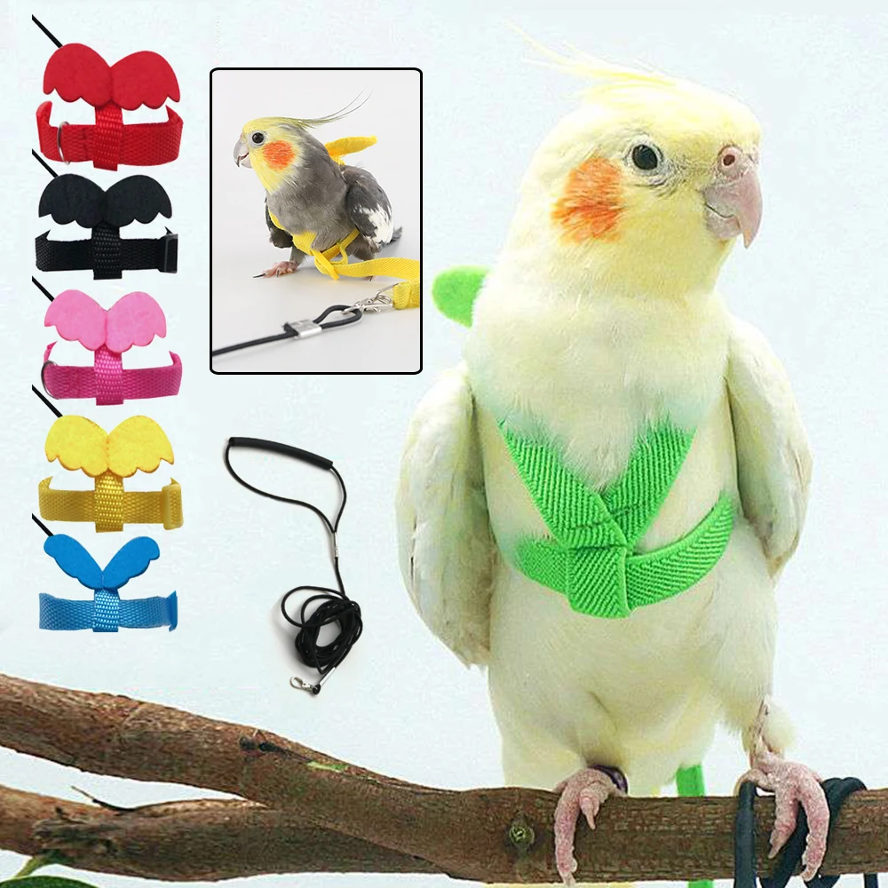 TrainingBirdHarnessLeashSetParrotFlyingHarnessBirdWalkingTool