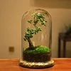 15*35cm Big Size Seperated Glass Dome Vase Home Decoration Transparent Higher Base Cover DIY Friend Gift Wedding Prop 1