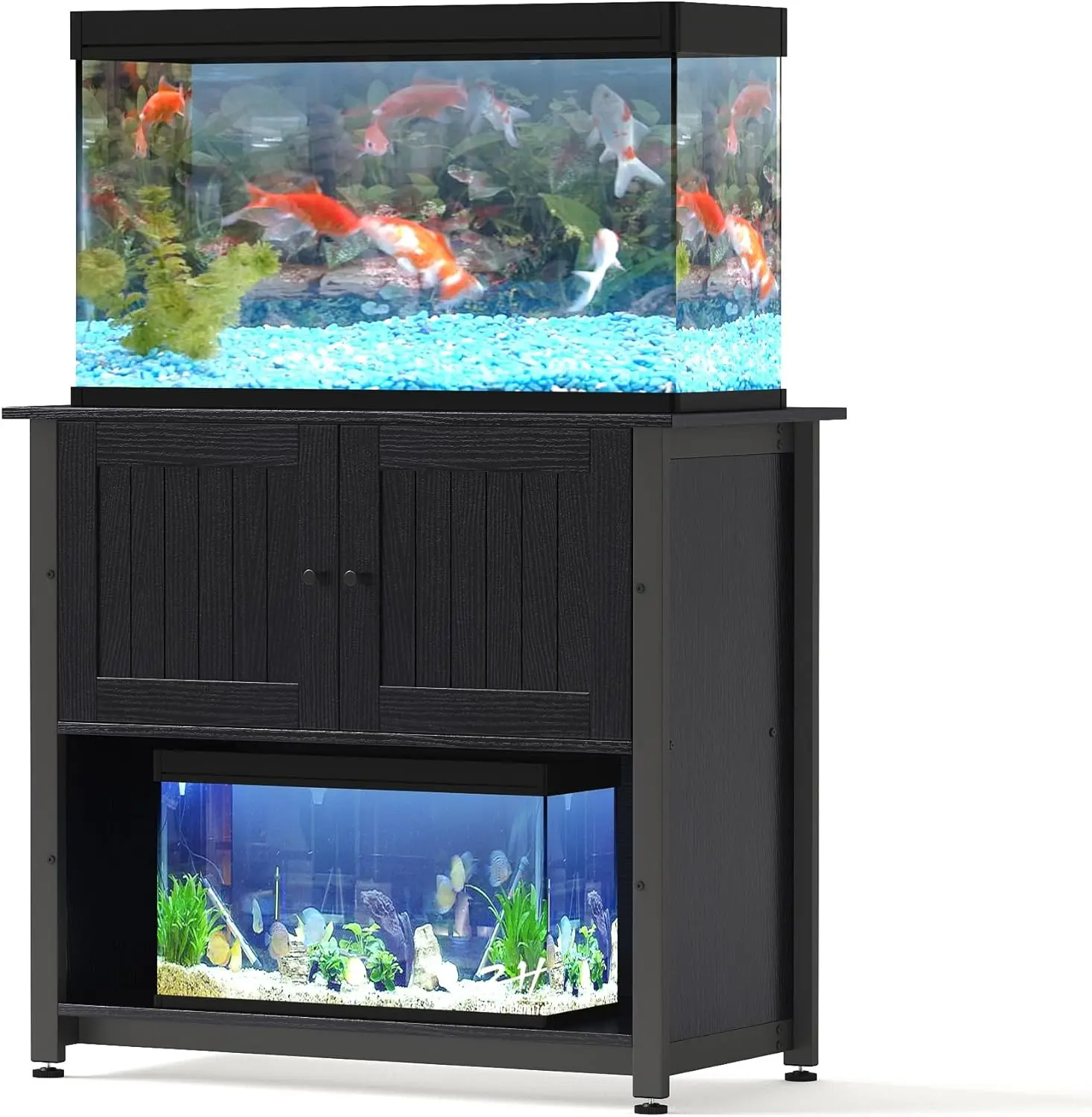 50 Gallon Fish Tanks