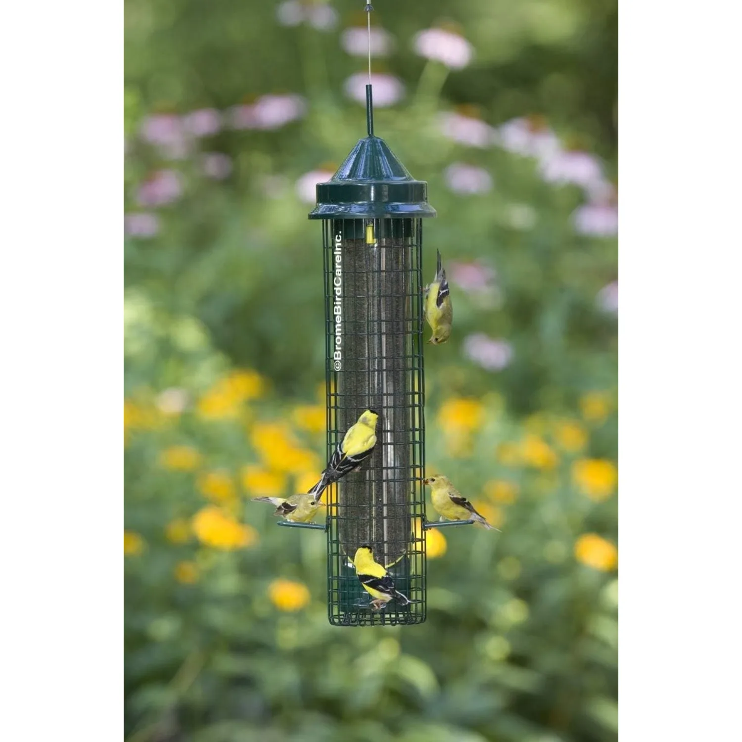 Squirrel Buster Finch Squirrel-proof Bird Feeder W/4 Metal Perches & 8 Feeding Ports 2.4-pound Thistle/Nyjer Seed Capacity