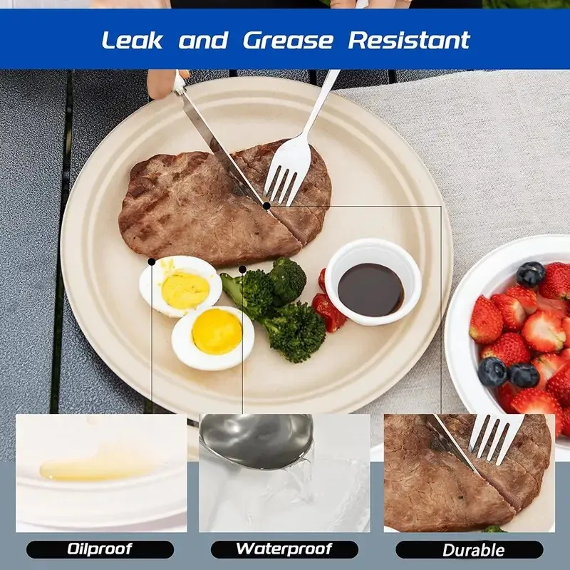 20PCS Disposable Tableware Durable Disposable Plates Birthday Camping Picnics Party Dessert Fruit Steak Spaghetti Container