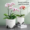 Meshpot Orchid Pots with Holes for Repotting Double Layer Plastic Imitate Ceramic Orchid Planter Provide Good Air Circulation 5