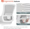 Height and Ergonomic Design Home Office Computer Desk Chair Executive Lumbar Support Padded Flip-up Armrest Swivel Chair (Grey) 4