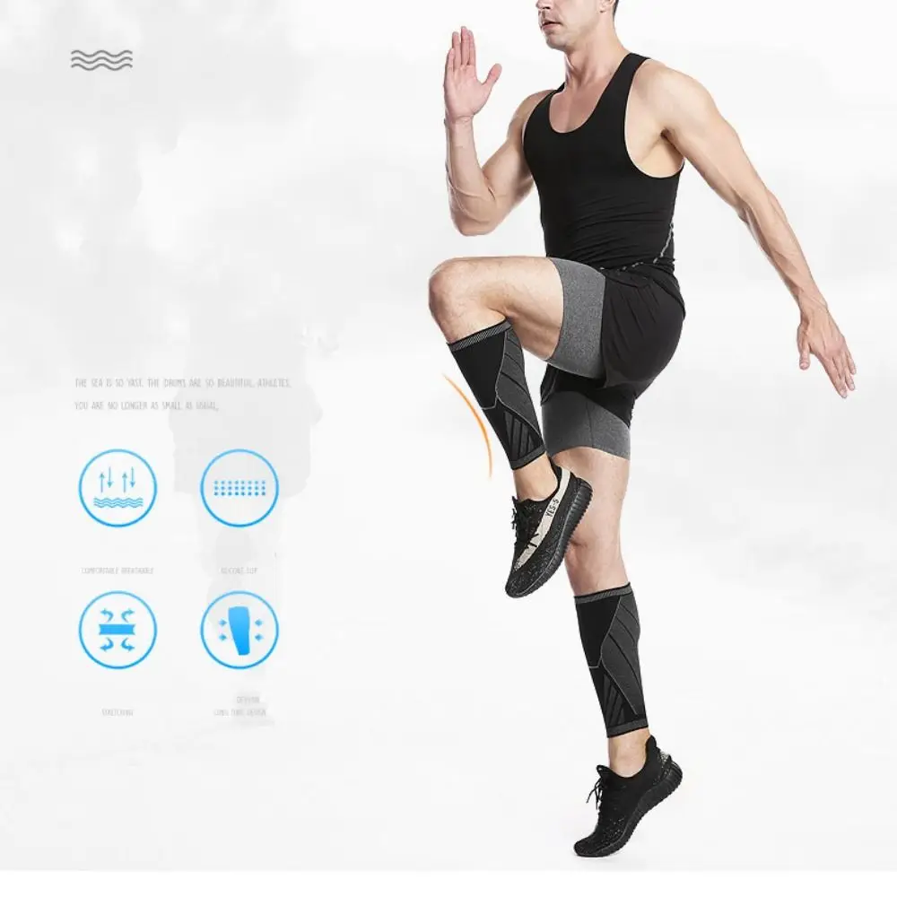 ������ ���Ϸ� ���� ��ȣ��, ������ �׼�����, ���� ����, ������ ��ȣ��, ������ �е� ��Ʈ��