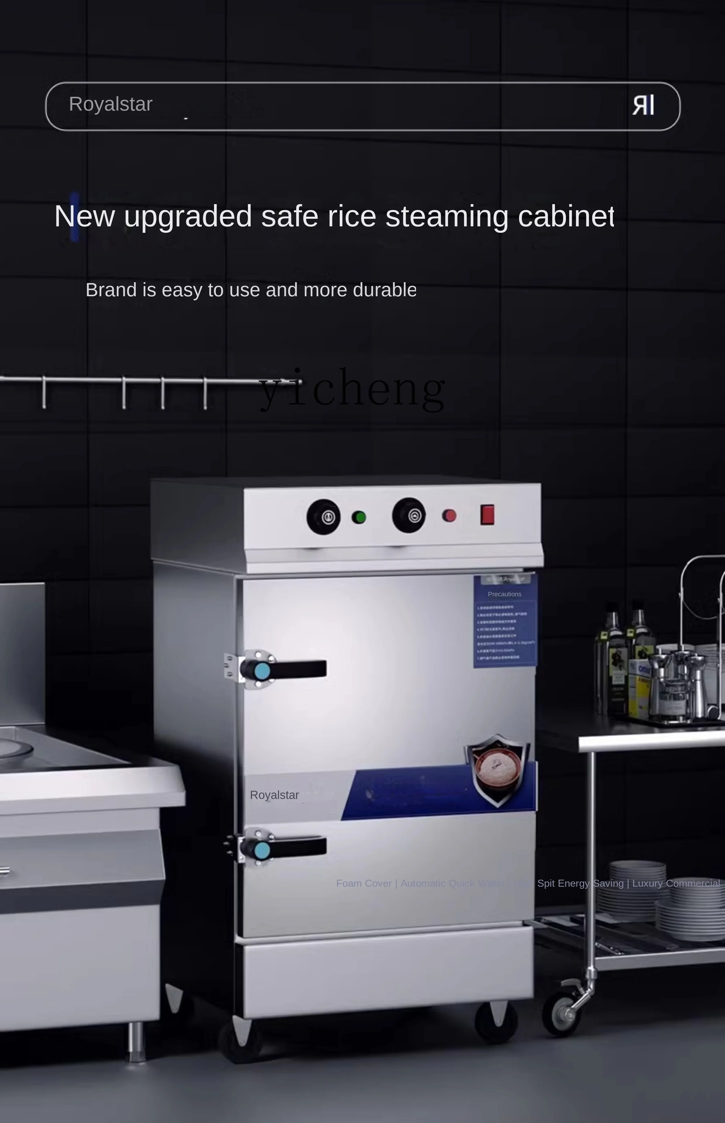 Tqh Rice Steamer Electric Steam Box Small Automatic Canteen Seafood Steam Boiler Gas Food Steamer Cabinet Car